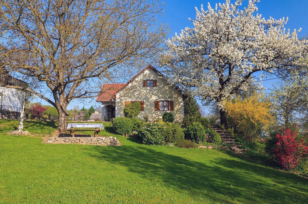 colorful trees and bushes against house