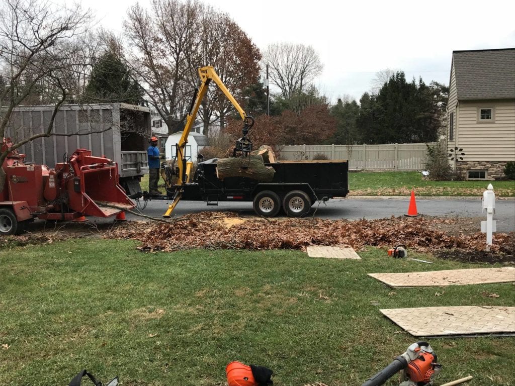 removing tree and stump and other debris