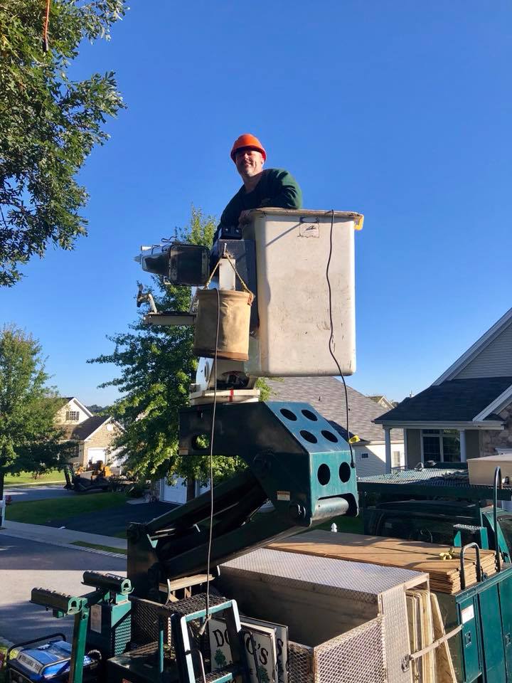 arborist in bucket truck