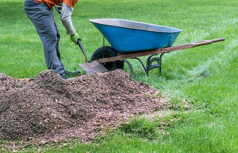 filling a wheel barrow up with a pile of mulch