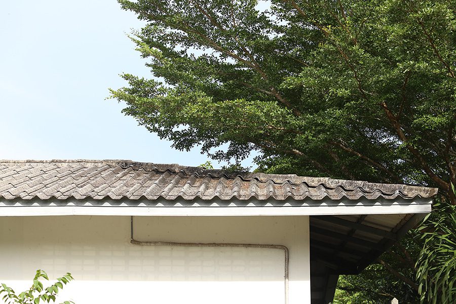 tree canopy almost touching roof of house