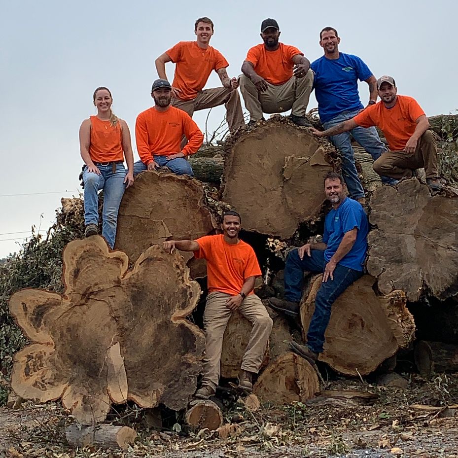 A group of tree workers poses in front of several downed trees.