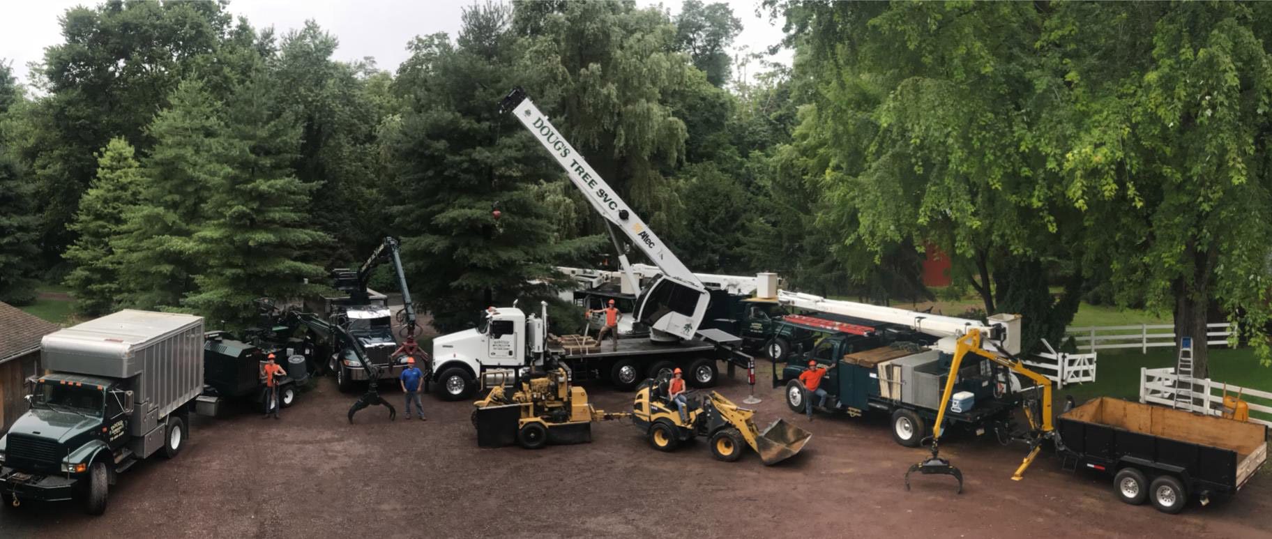 Condo Tree Maintenance