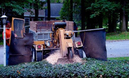 stump grinding