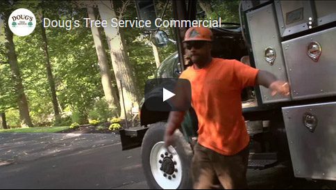 commercial video screenshot
