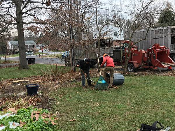 Two Doug’s Tree Service workers rake leaves into a barrel.