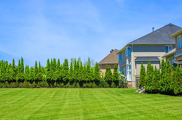 A backyard is pristinely mowed.