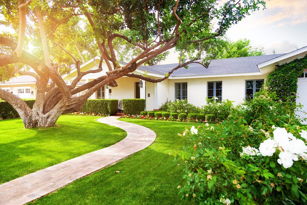 A white home with green grass and a large healthy tree.