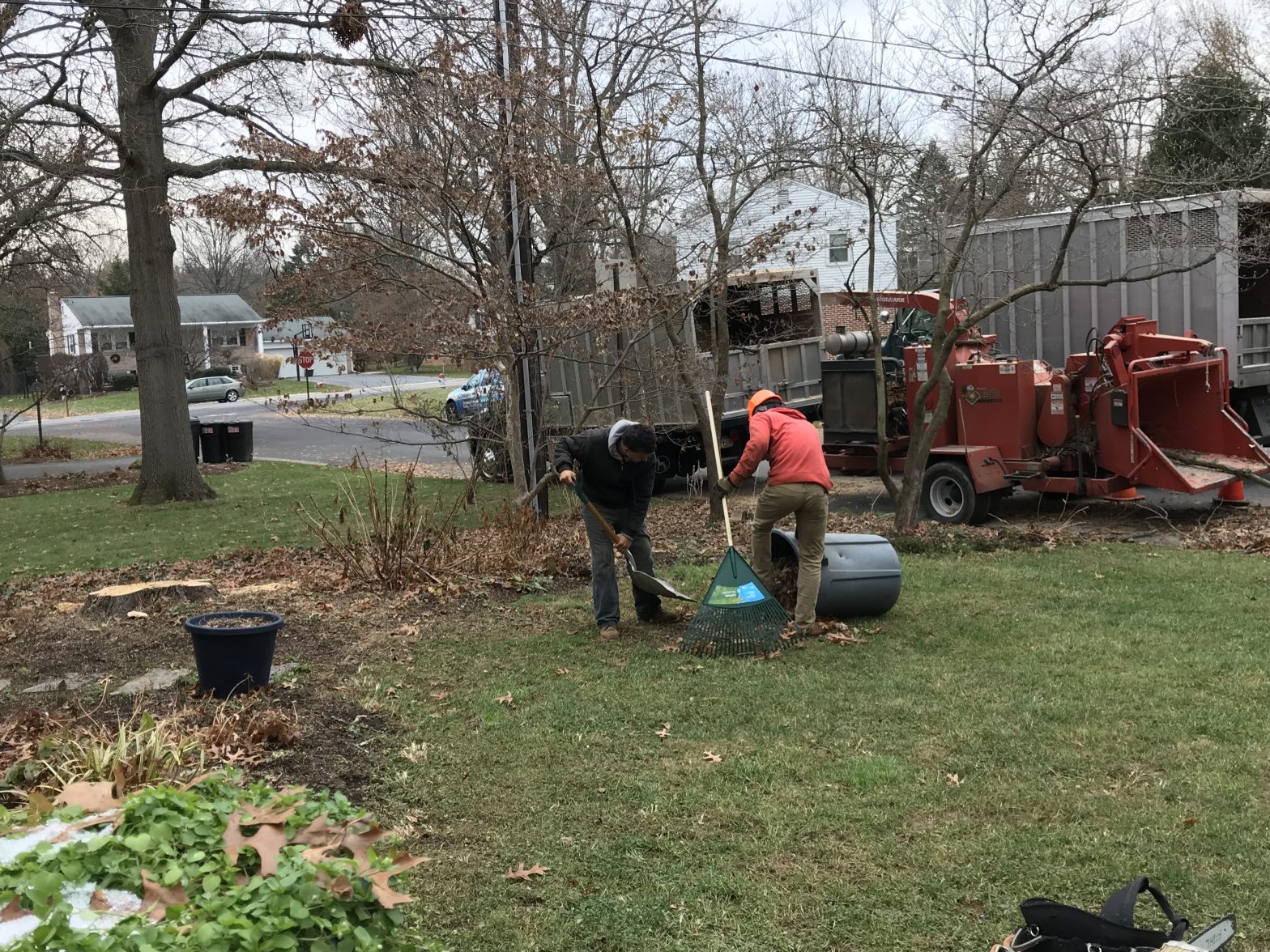 Tree removal crew working in a backyard.